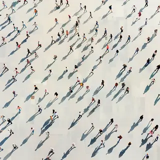 美食 鳕鱼鱼胶的做法