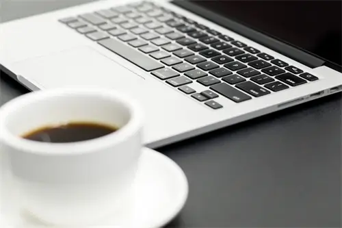 沙漠羊美食做法大全