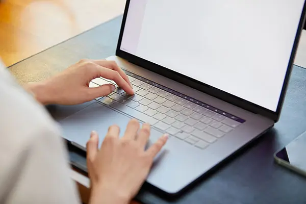 东北美食高端做法